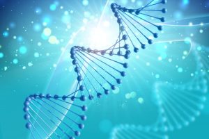 DNA
