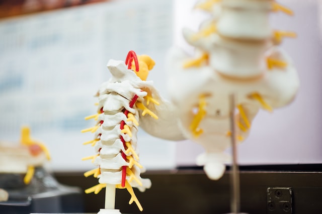 Herniated Disc