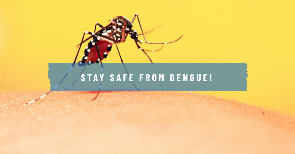 Dengue Fever Treatment